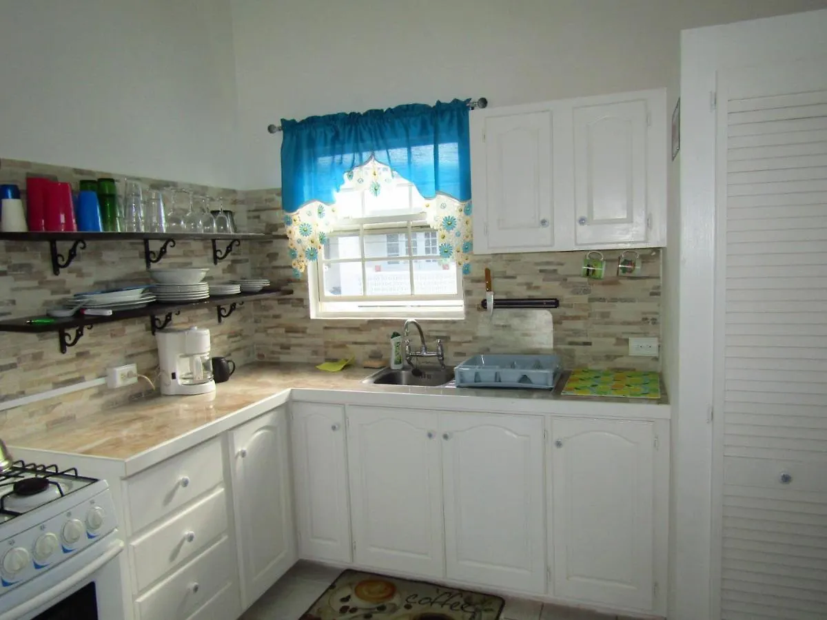 Dover Apt 3 By The Beach In The Gap 基督教堂市 公寓